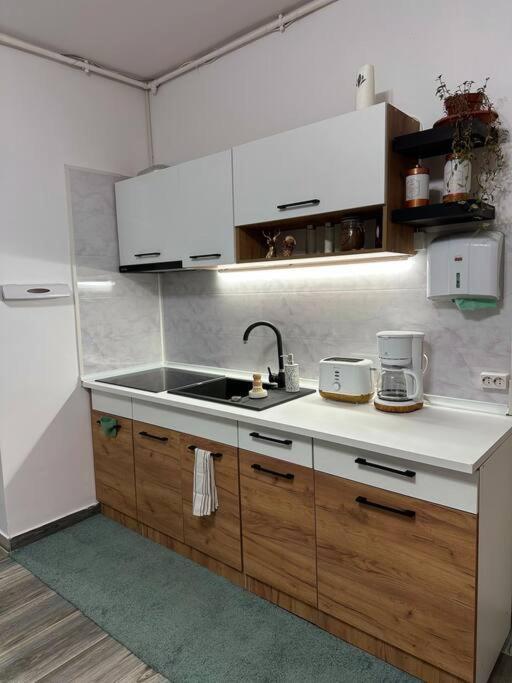 Zion Home Сібіу Екстер'єр фото