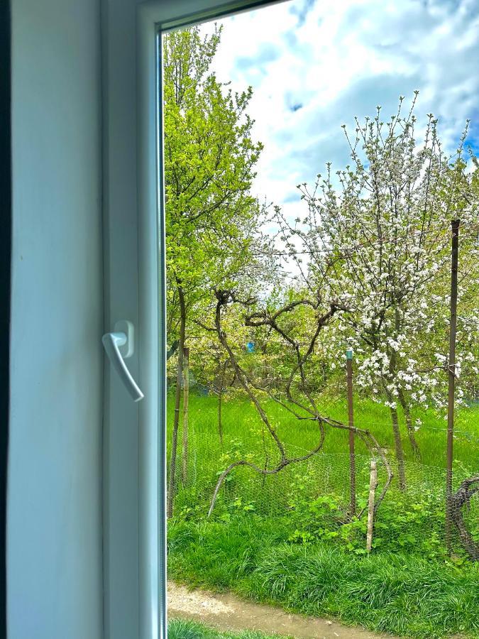 Zion Home Сібіу Екстер'єр фото